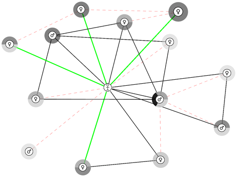 Abbildung 2: Ego-zentriertes Netzwerk